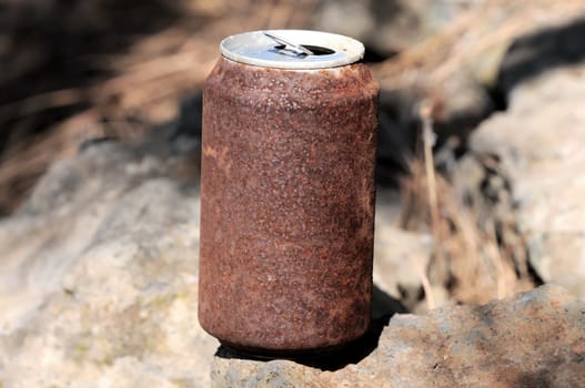 Old Rusty Can on the Floor into the Wild