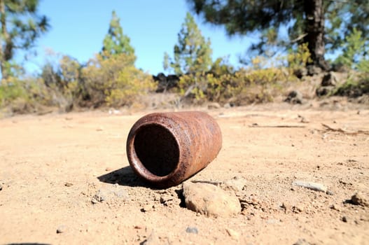 Old Rusty Can on the Floor into the Wild