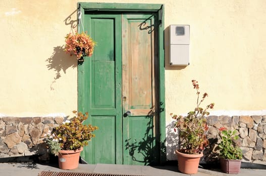 Old Wooden Green Door an Plants over a yellow Wall