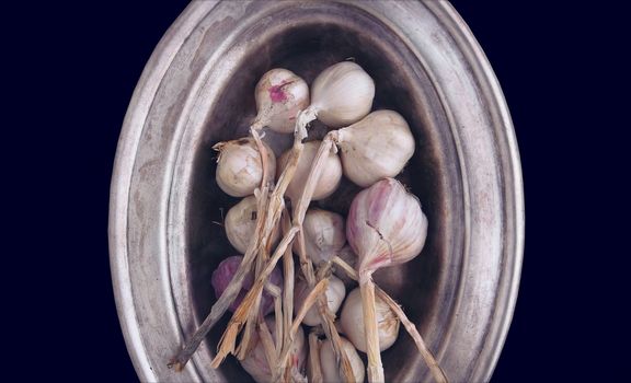 The heads of garlic on antique silver plate