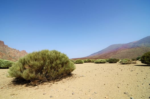 Sand and Rocks Desert on Teide Volcano, in Canary Islands, Spain