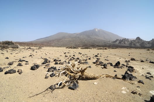 Sand and Rocks Desert on Teide Volcano, in Canary Islands, Spain