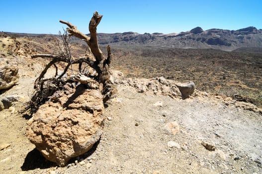 Sand and Rocks Desert on Teide Volcano, in Canary Islands, Spain