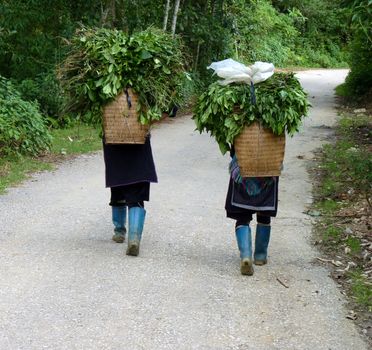 Hmong women in Sapa, Vietnam