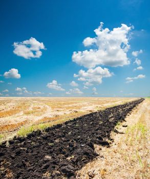 ploughed field under blue sky