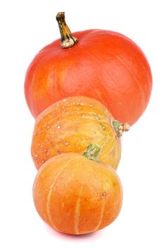 Three Raw Ripe Pumpkins In a Row isolated on white background