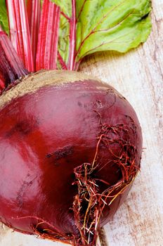 Perfect Raw Beetroot with Beet Tops closeup on Wooden background