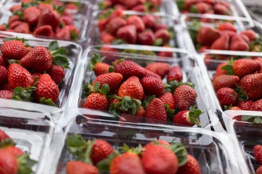 strawberry fruits in plastic pack