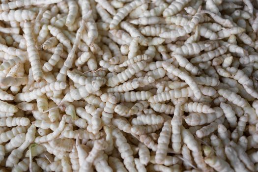 many of raw fresh yam bean in market