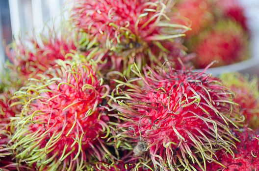 The Fresh Rambutan Thai Fruit Yummy