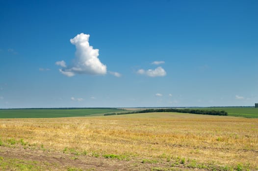 view to field after harvesting