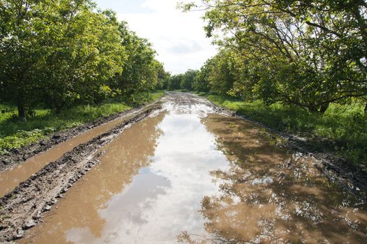 rural road with big puddle