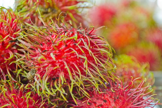 The Fresh Rambutan Thai Fruit Yummy