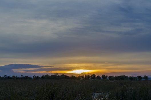 Sunset in Countryside