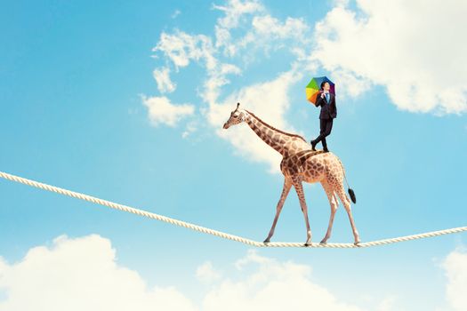 Image of giraffe walking on rope high in sky