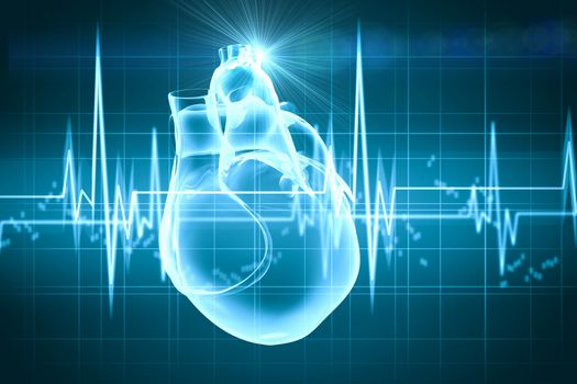 Virtual image of human heart with cardiogram