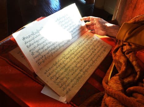 Monk reading the Scripture of Tales of the Lord Buddha's Former Births