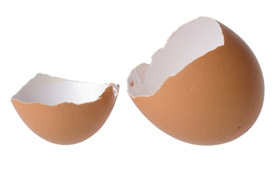 Egg shell on white background 