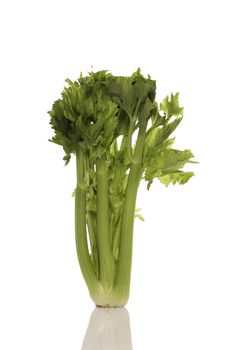 Fresh celery bunch isolated on white background