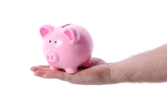 hand holding Pink piggy bank isolated on white background