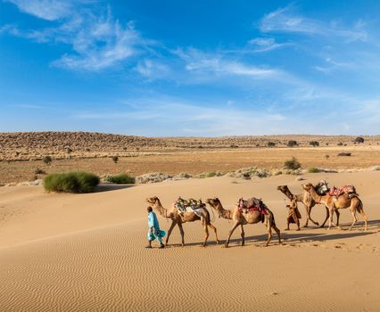 Rajasthan travel background - two Indian cameleers (camel drivers) with camels in dunes of Thar desert. Jaisalmer, Rajasthan, India
