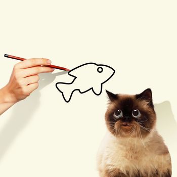 Image of siamese cat catching drawed fish