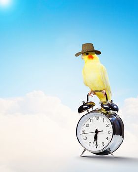 Image of yellow parrot sitting on alarm clock