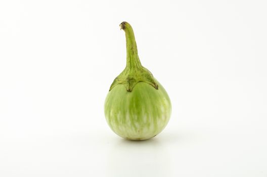 eggplant asia vegetable isolated on white background