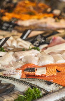 Detail of few pieces of salmon meat on a various types of fish meat on a market stand.