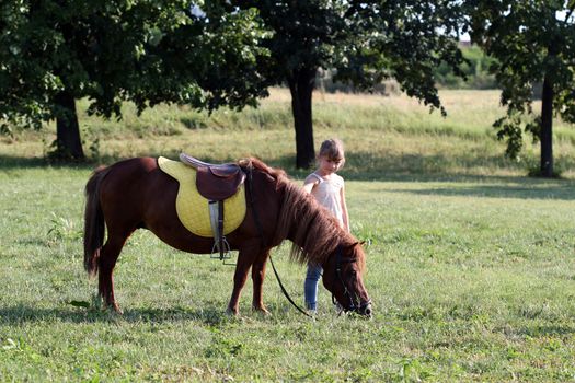 beautiful little girl and pony horse on field