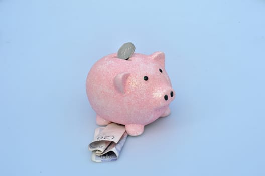 Piggy bank with coin and notes