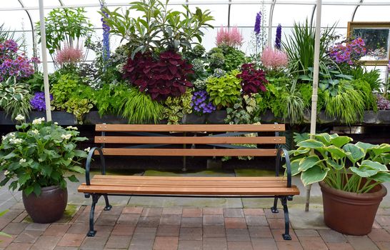 Wooden bench in colorful lush garden greenhouse