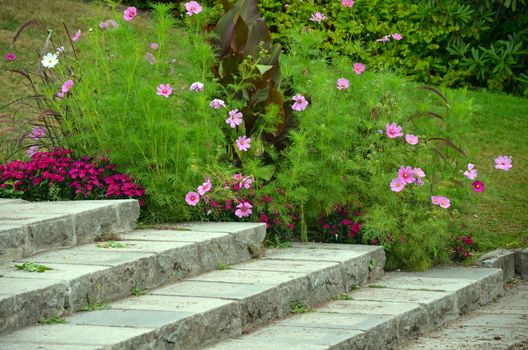 Beautiful summerflower garden with stairway