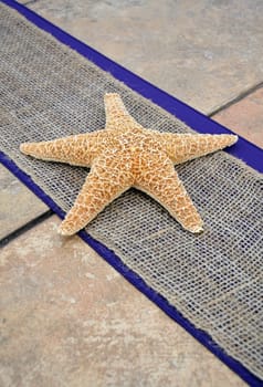 Ocean starfish decoration on table