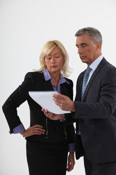 Business professionals looking at a notebook