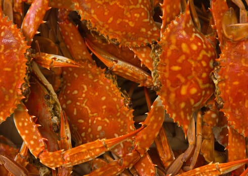Cooked blue crab boiled for with background