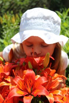 little girl smells red lilies on the flower-bed