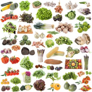 group of vegetables in front of white background