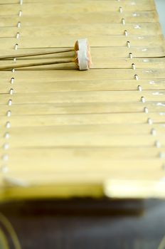 thai alto xylophone asia music instrument