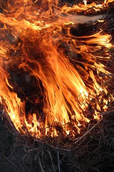 body of flame inflaming in the field