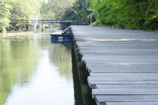 nature way in small forest with canal