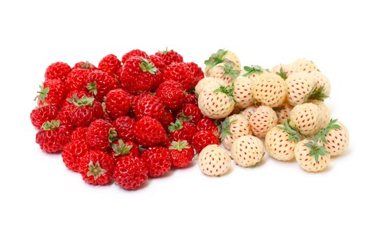 Ripe White and Red Strawberries, on white background