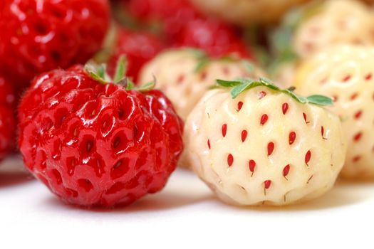 Ripe White and Red Strawberries, closeup 