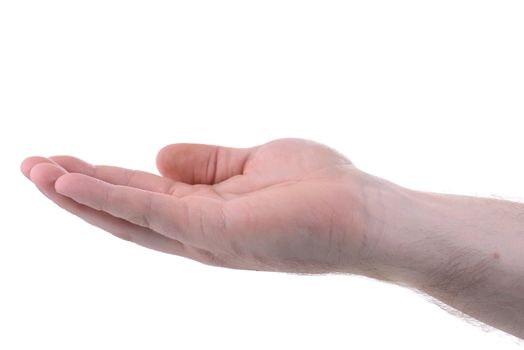 a hand cupping holding gesture isolated in a white background, concept for security and care 