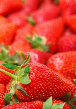 Ripe Red strawberries closeup 