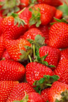 Ripe Red strawberries closeup 