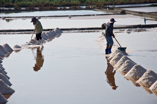 salt farmer in tropical climate prepare for salt