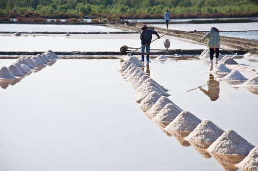 salt farmer in tropical climate prepare for salt