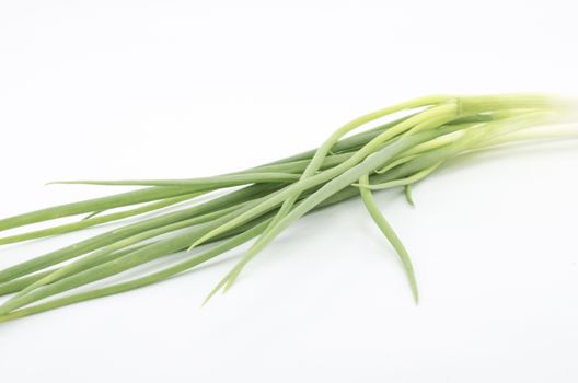 spring onion isolated on white background