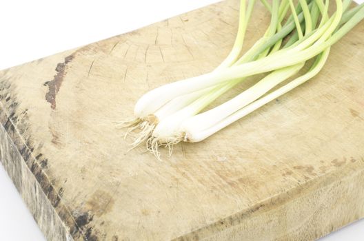 spring onion isolated on white background